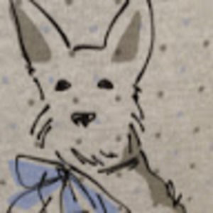 Meet your Posher, Janet